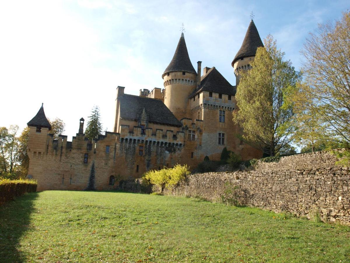 Cozy Cottage In Aquitaine With Private Swimming Pool Peyzac-le-Moustier Екстер'єр фото