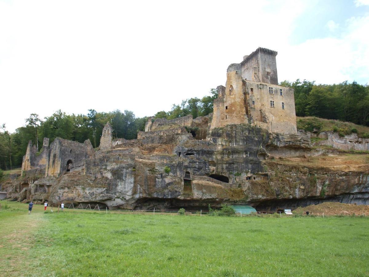 Cozy Cottage In Aquitaine With Private Swimming Pool Peyzac-le-Moustier Екстер'єр фото
